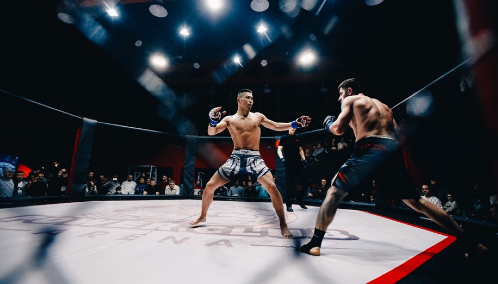 The Excitement of Fight Night Betting